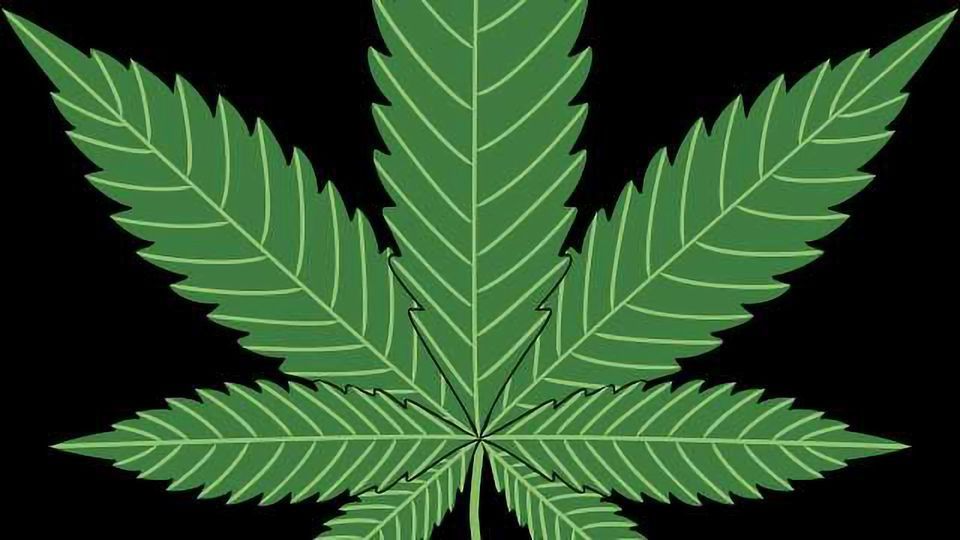 Full Spectrum Laboratories Secures U.S. Cannabinoid Biosynthesis Patent content piece image