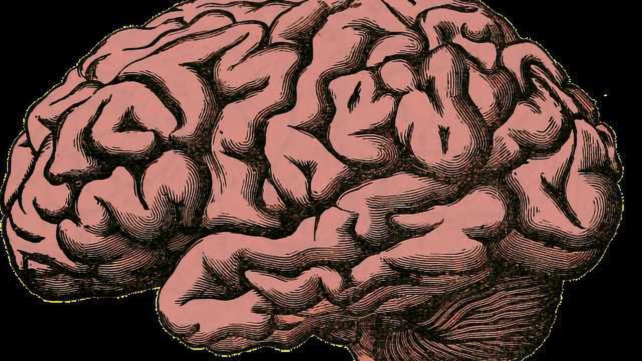 Living Near Major Traffic Linked to Higher Dementia Risk