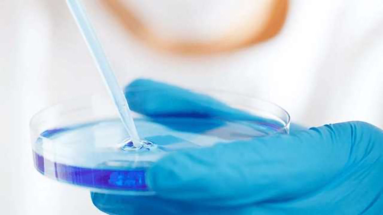 Merck Expands End-to-End Biodevelopment Capability