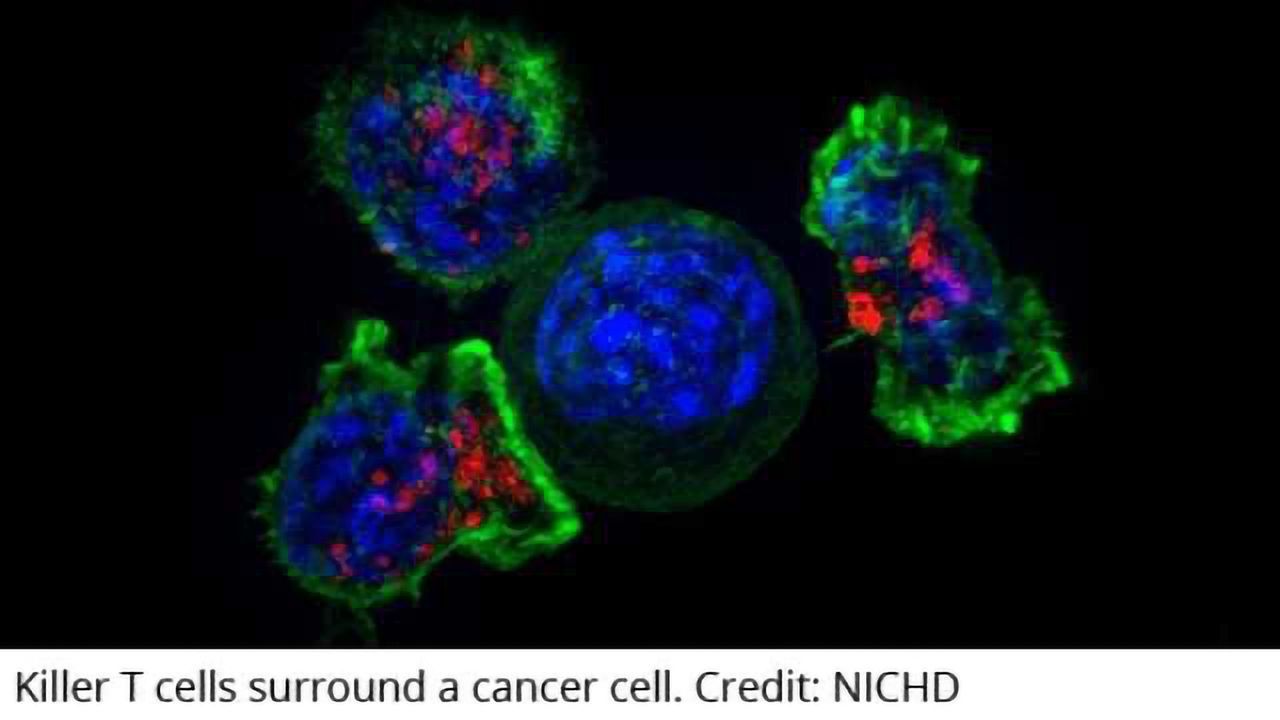 Cambridge Scientists Get £41M Boost for Cancer Research