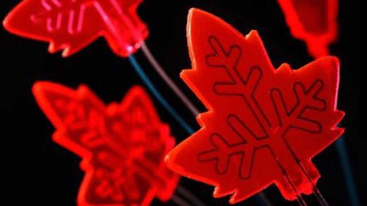 Leaf-Inspired Continuous-Flow Photochemistry