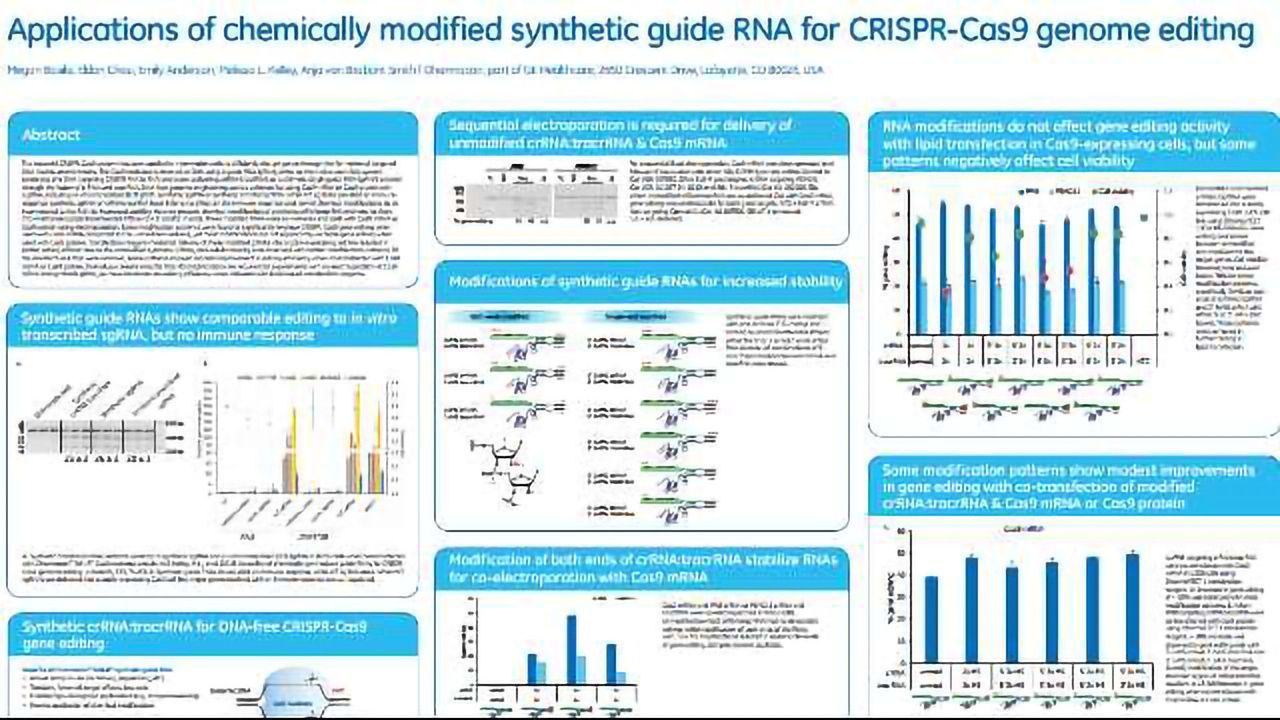 Applications of chemically modified synthetic guide RNA for CRISPR-Cas9 genome editing