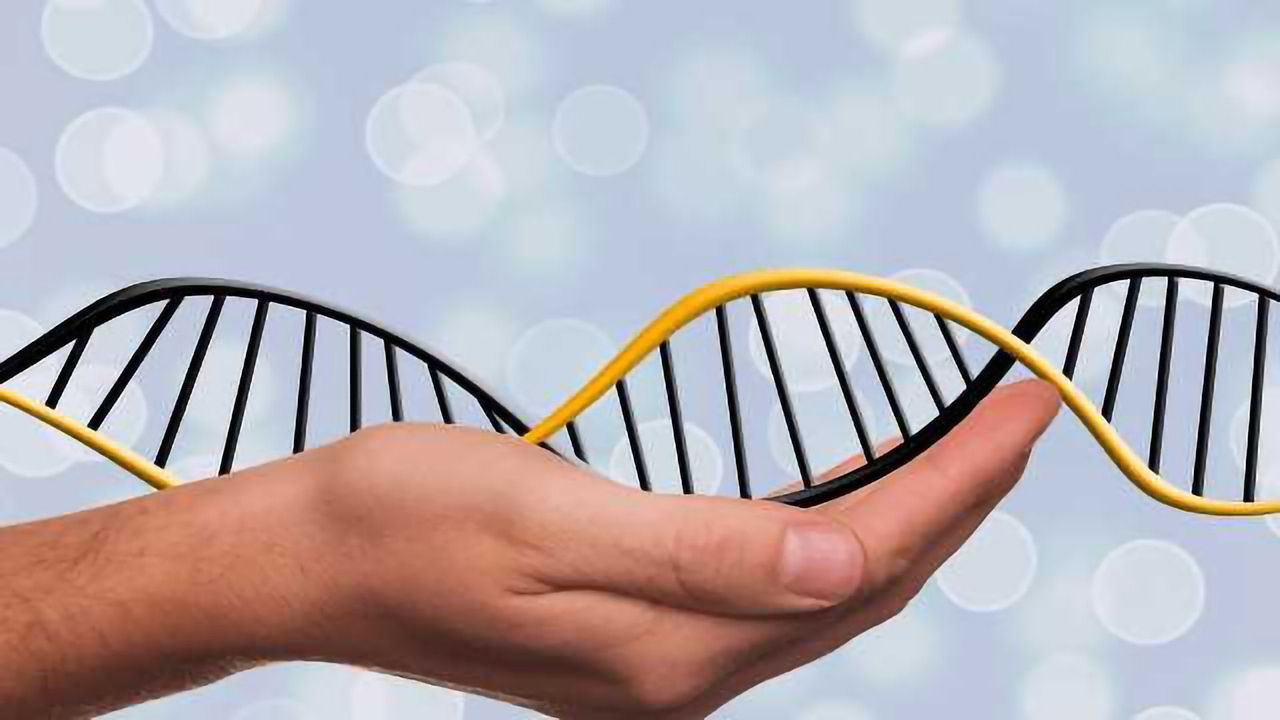Statistical Models to Back Up DNA Evidence