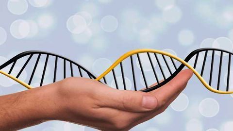 Statistical Models to Back Up DNA Evidence