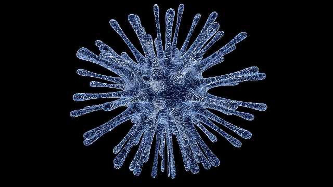 New Target for Fighting Picornaviruses