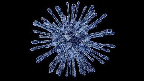 New Target for Fighting Picornaviruses