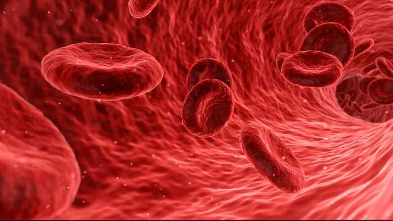 Fitness Monitors and Other Wearable Biosensors Can Show Possible Illness