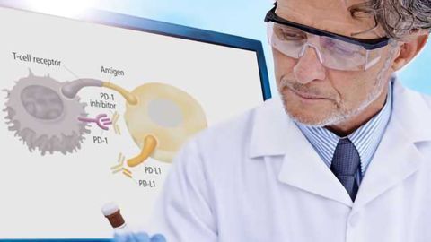 Alpha Technology for Immuno-oncology Assays