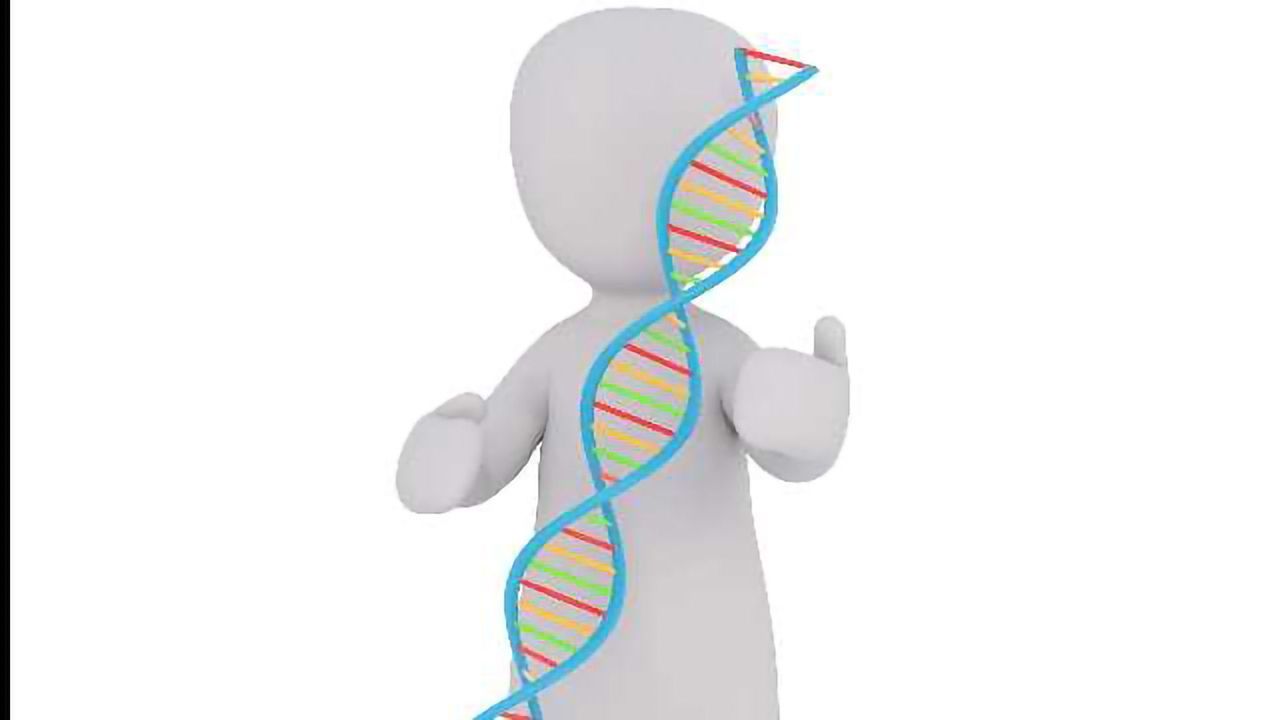 Metabolic Proteins Relocate to Jump-Start an Embryo’s Genome