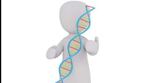Metabolic Proteins Relocate to Jump-Start an Embryo’s Genome
