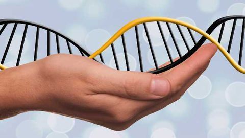 New Theory for Explaining the Function of Proteins