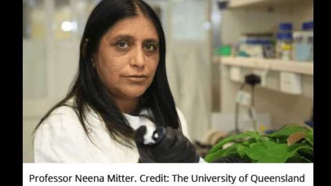 RNAi Spray a Game Changer for Crop Protection