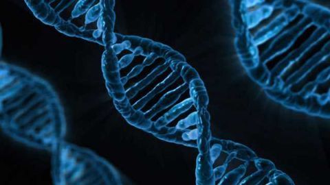 Horizon Broadens Industry-leading Gene Editing Capabilities