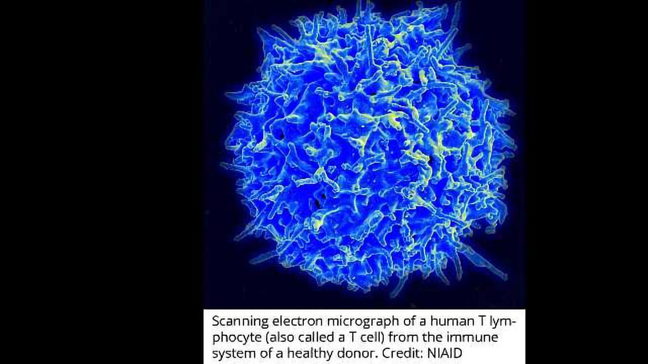 New Hope for Treatment of Rare Blood Disorders