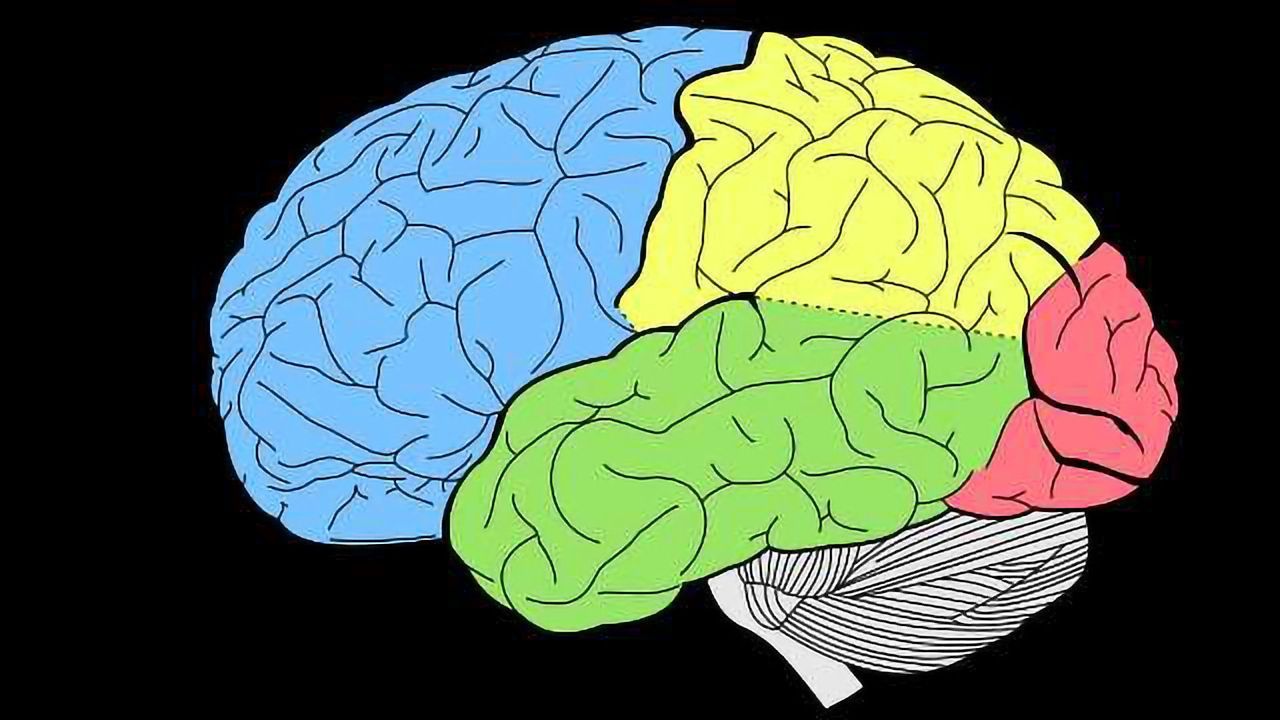 New Insights Into Cognitive Disorders
