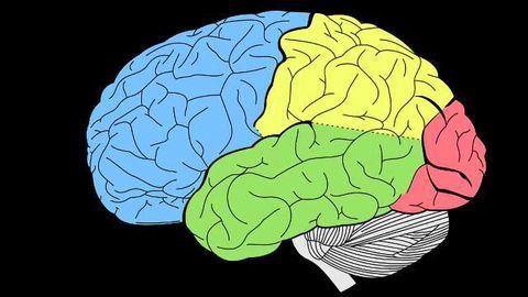 New Insights Into Cognitive Disorders