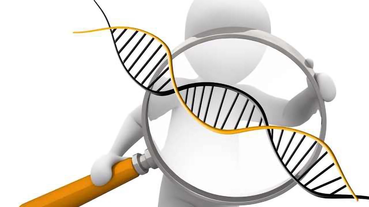 Tempus, Seidman Cancer Center Partner Up
