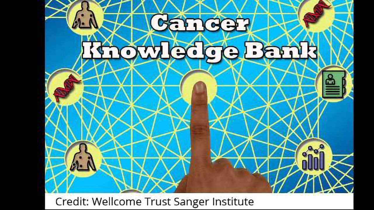 A Knowledge Bank to Inform Personalised Cancer Treatment