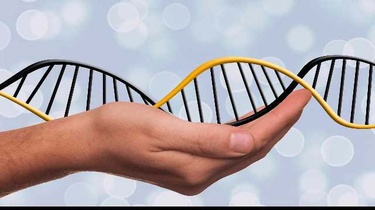 5-D Protein Fingerprinting' Gives Insights Neurodegenerative Diseases