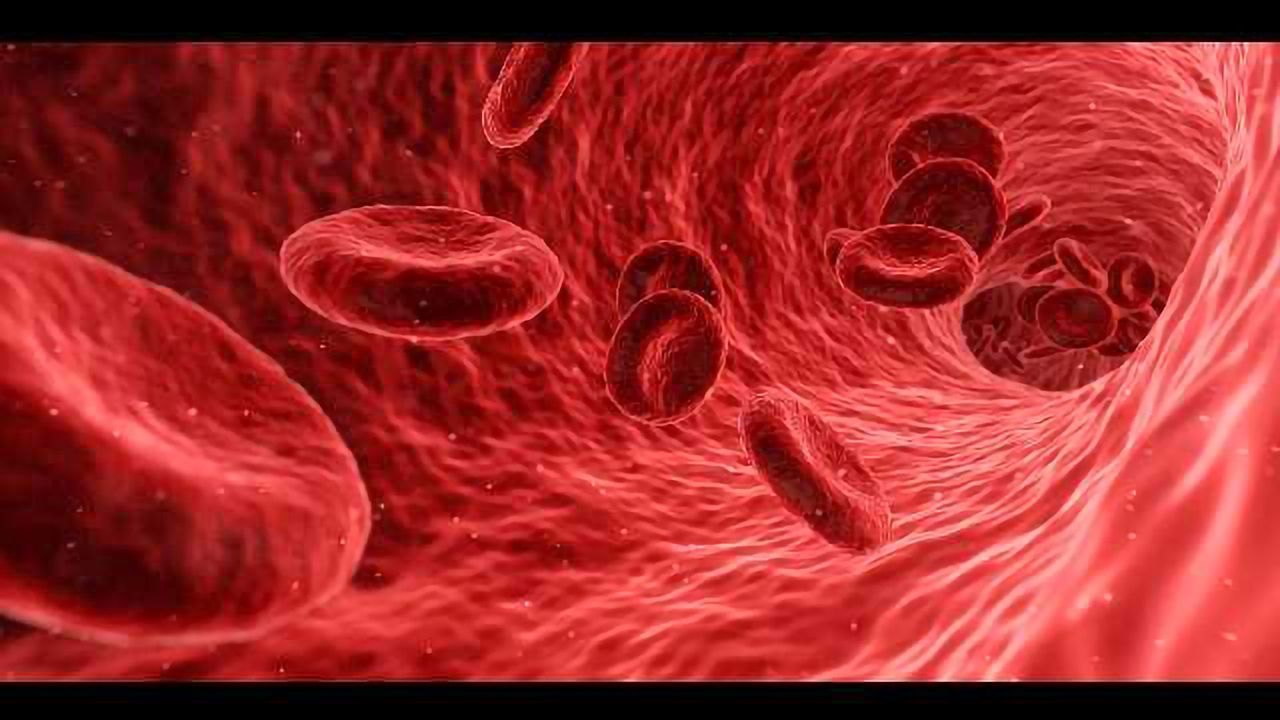 New Pathway in the Body That Stimulates Liver Repair Found
