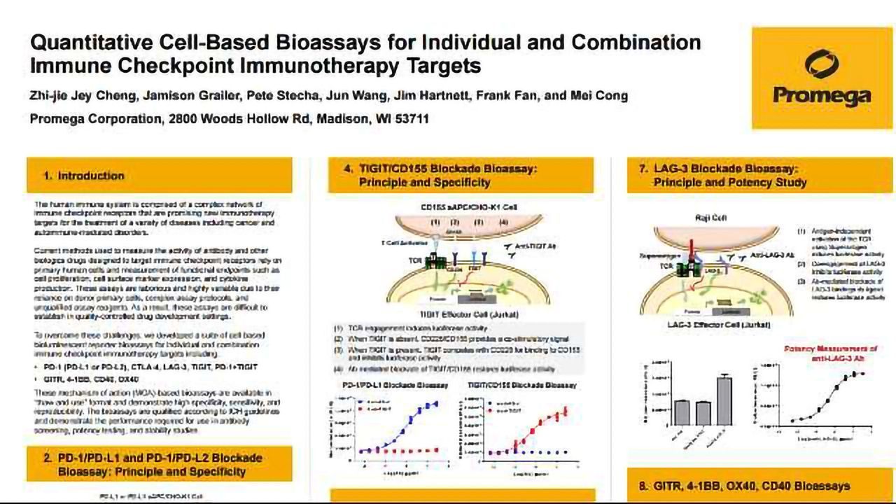 Quantitative Cell-based Bioassays for Individual and Combination Immune Checkpoint Immunotherapy Targets