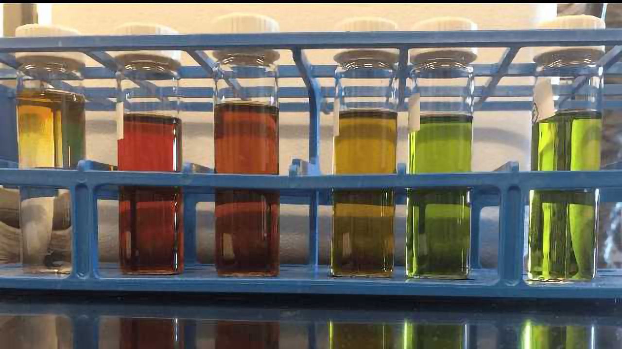 Vitamin B-12 Exists in Two Distinct Versions in the Oceans