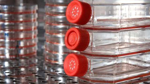 "Collateral Lethality" Offers A New Therapeutic Approach