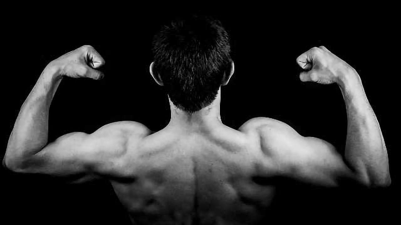 PTEN Plays a Role in Muscle Healing