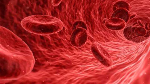Making Strides in Sickle Cell Disease Research