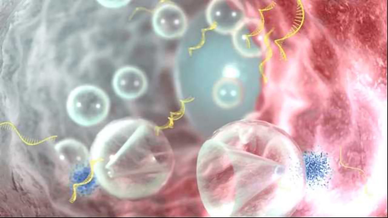 RNA Hitches A Ride On Ultrasound Waves