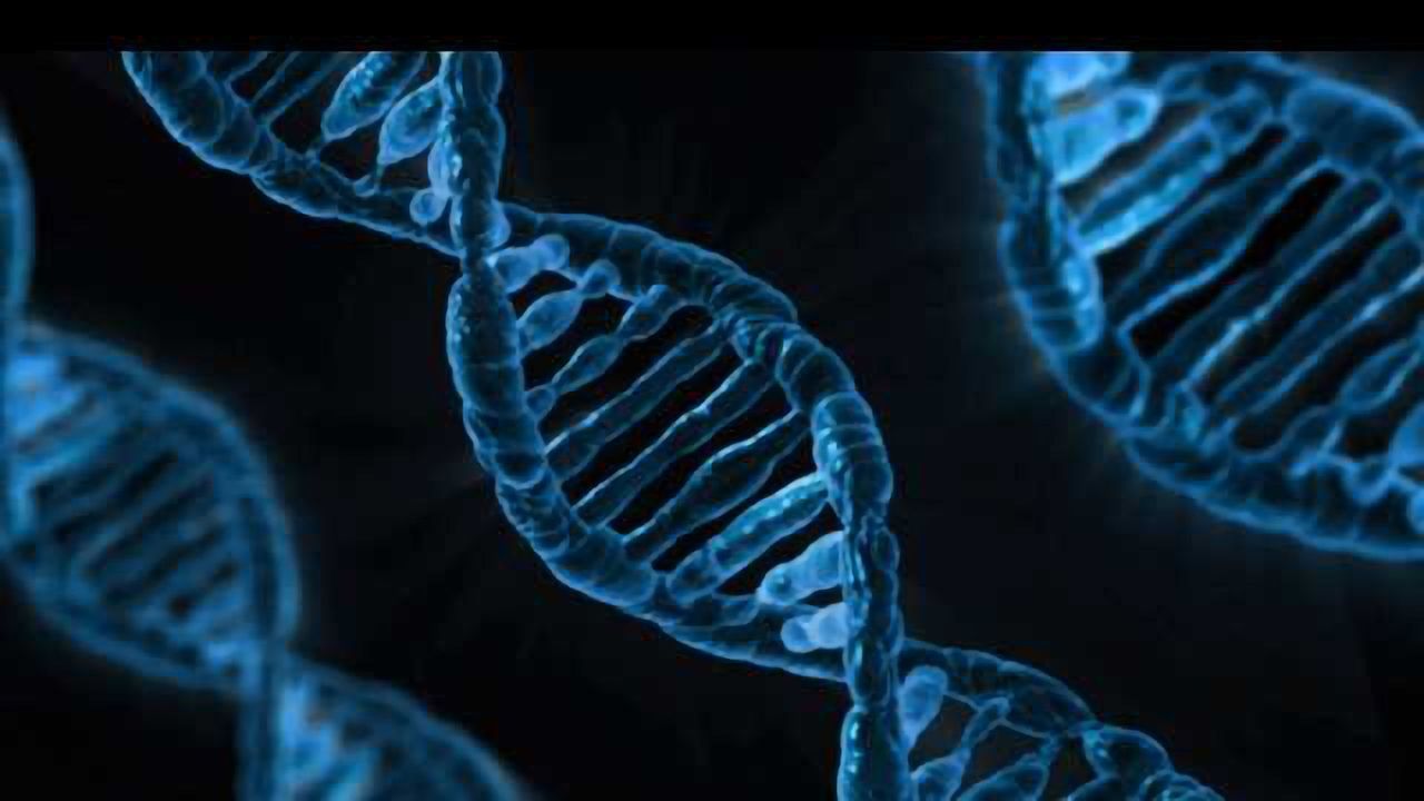 New Technique Allows Regulation of Protein Produced from a Gene