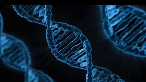 New Technique Allows Regulation of Protein Produced from a Gene