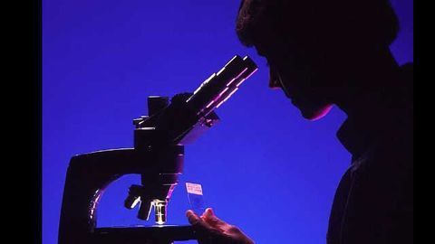 New Nanomaterial and Imaging Method Discovered