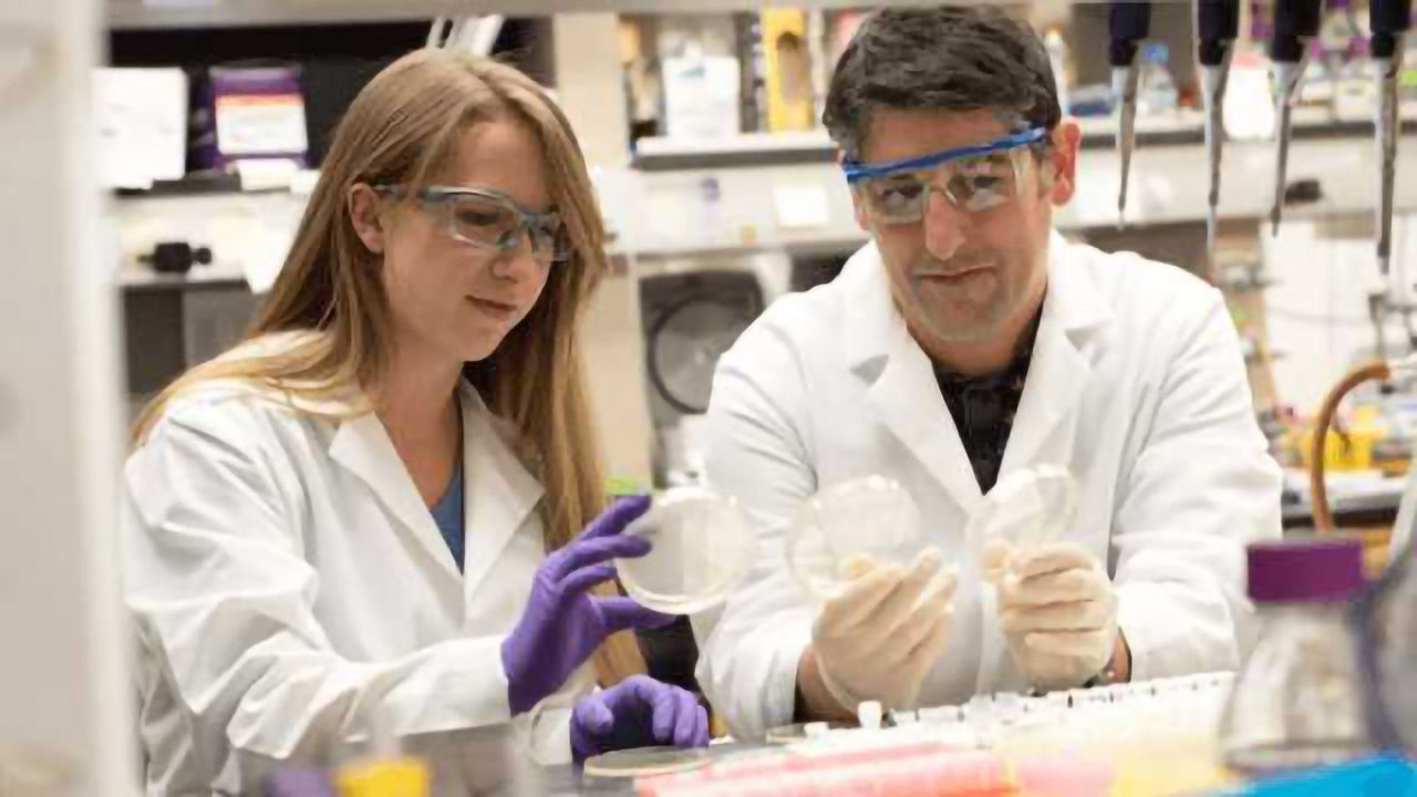 A Universal Toolkit for Modifying Gene Expression