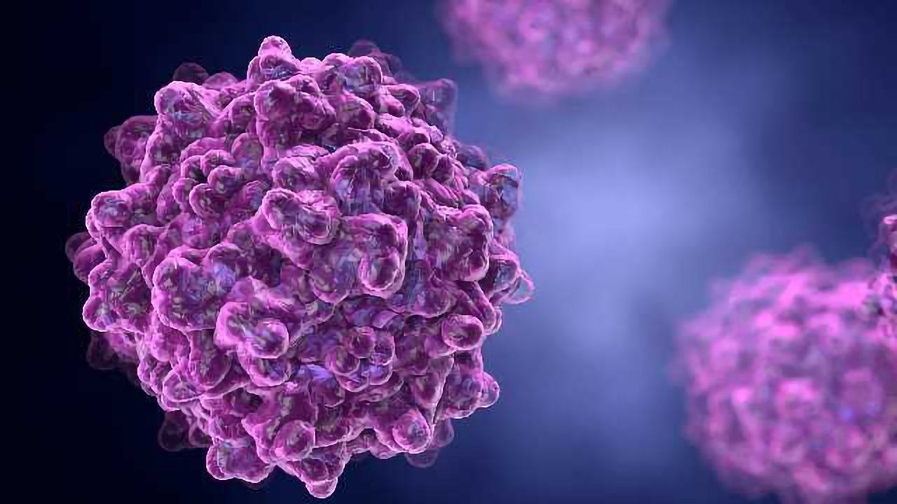 Ready-to-use Adeno-Associated Virus Biosensors