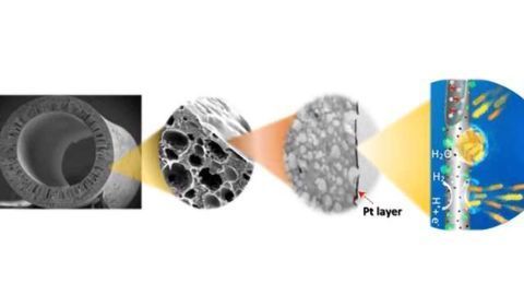 More Can Now be Extracted from Wastewater