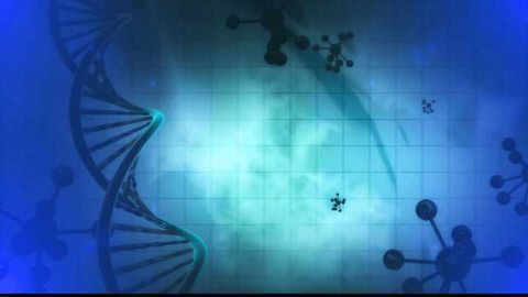 PPMO Has the Ability to Stop Resistance to Antibiotics