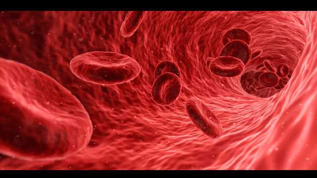 Nanoscience and Magnetic Fields Used in Biochemical Tests