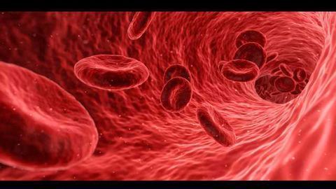 Nanoscience and Magnetic Fields Used in Biochemical Tests