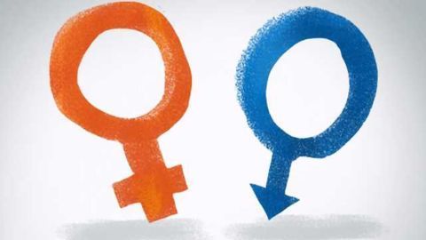 Biological Drivers of Disease Differ Significantly Between the Sexes