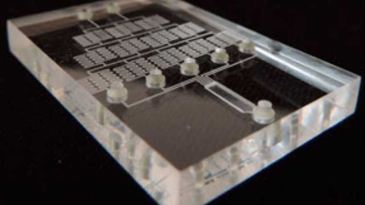 Modular Valve for Microfluidic Chips Developed