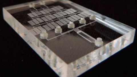 Modular Valve for Microfluidic Chips Developed