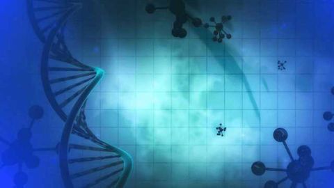 Omicia Acquires Spiral Genetics