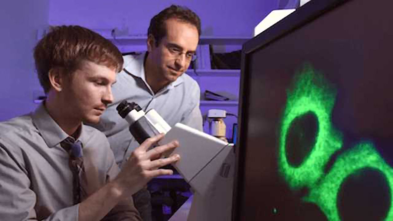 Choreographing the microRNA-target Dance