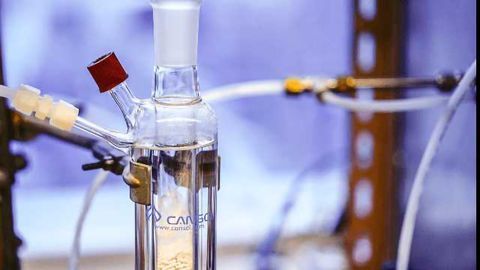 Sustainable Catalysis With Iron Salts