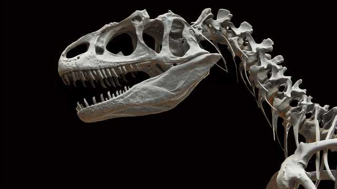 Collagen Peptides Isolated from an 80-Million-Year-Old Brachylophosaurus