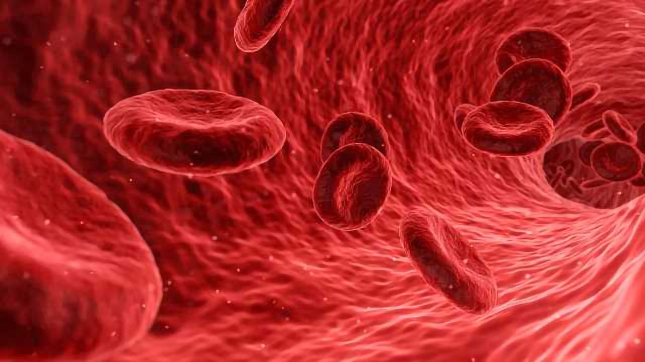 The Impact of Shear Stress on Cell Circulation