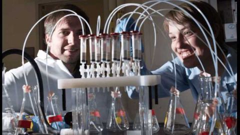 New Technique Can Identify Micropollutants in New York Waterways