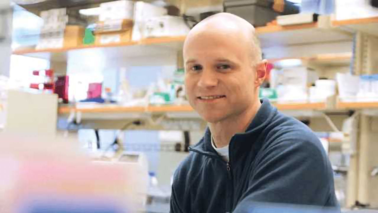 Harnessing Stem Cells for New Medical Uses