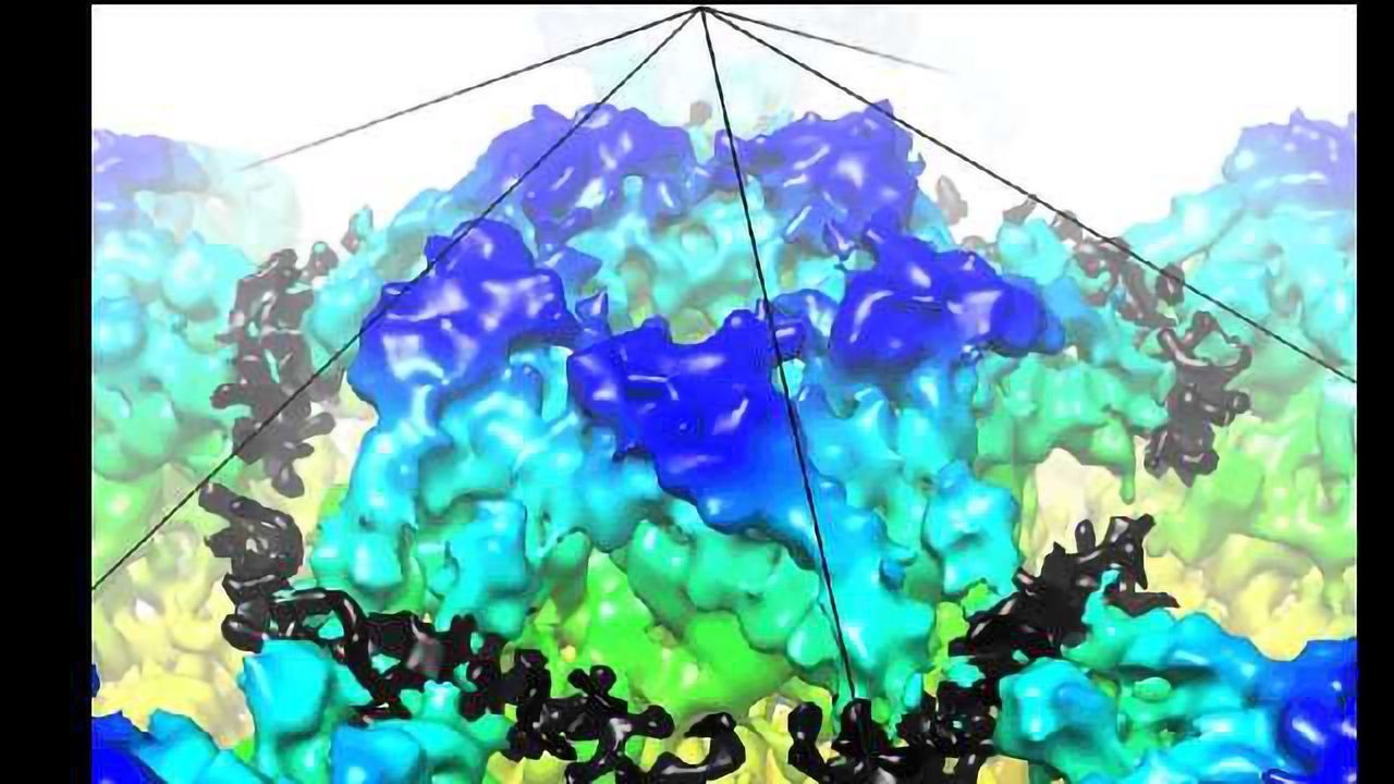 First Ever High Resolution 3-D Maps of HPV